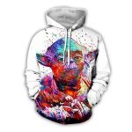 Sweat Star Wars Yoda Coloré - Unisexe